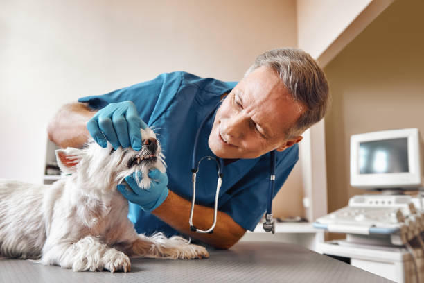 Best Emergency Dentist for Special Needs Patients in Waco, TX